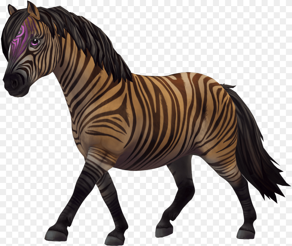 Fan Art Star Stable Zebra Pferd, Animal, Mammal, Wildlife Free Png Download