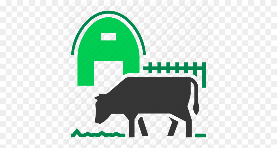 Download Farmer Cow Icon Clipart Angus Cattle Beef Cattle Baka Free Transparent Png