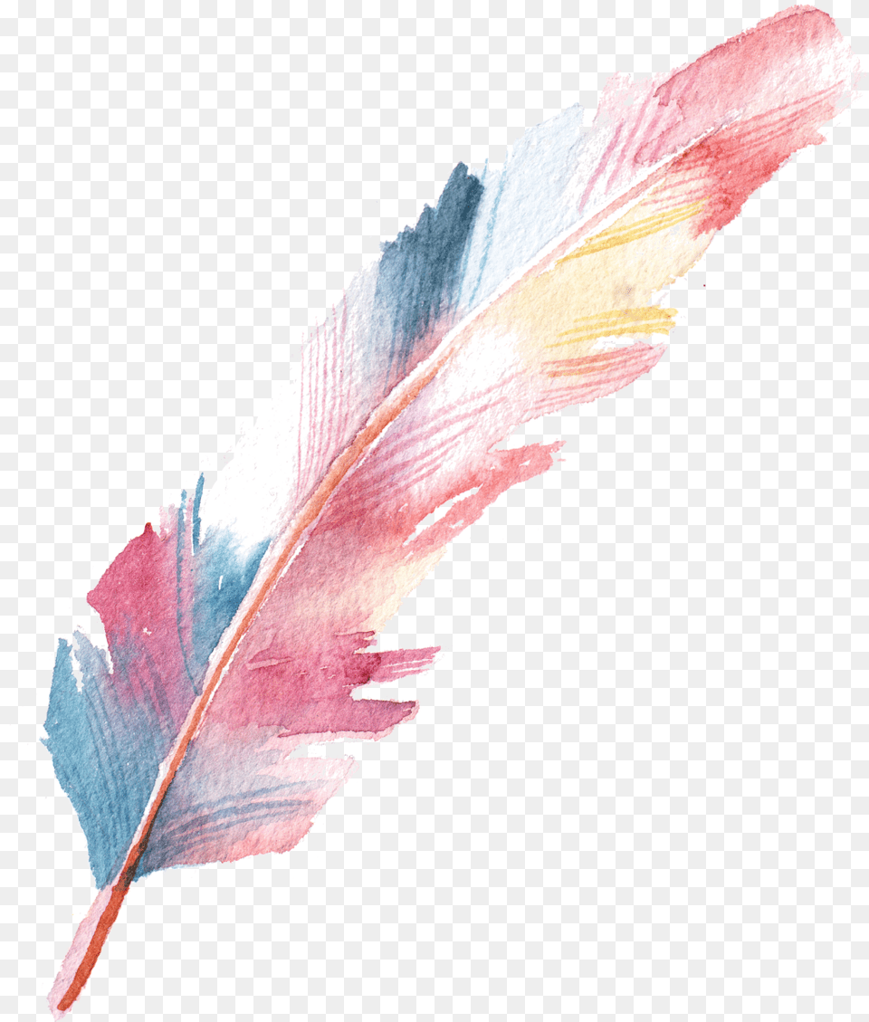 Download Feather Colorful Drawing Watercolor Handpainting Background, Bottle, Ink Bottle, Person, Accessories Free Transparent Png