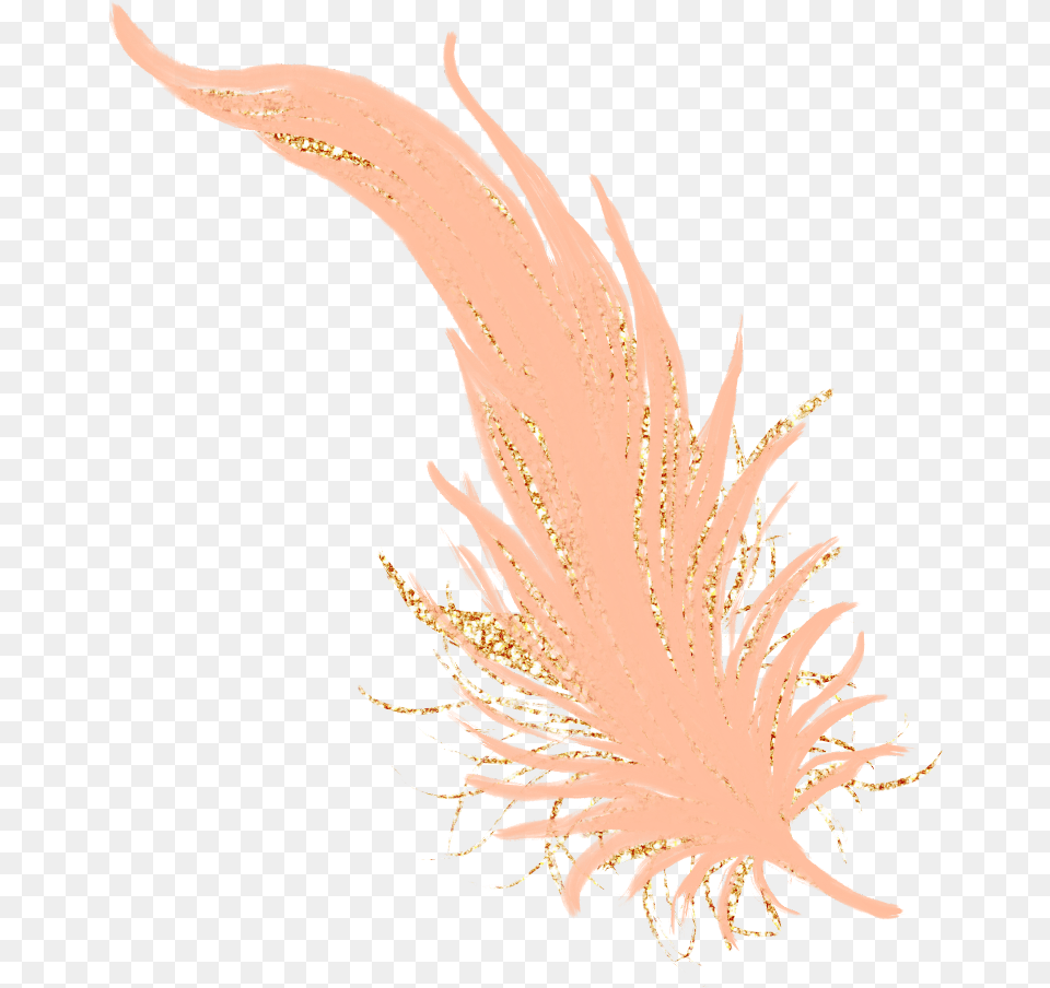 Download Feathers Feather Pastel Golden Gold Rosegold Feather Rose Gold, Accessories, Pattern, Person Free Png