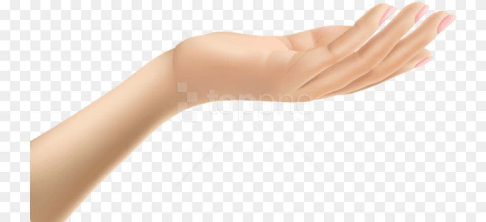 Download Female Hand Clip Art Hands Body Part, Person, Wrist, Adult Free Transparent Png