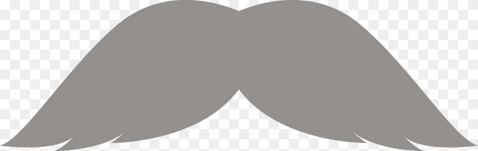 Download File Grey Mustaches 01 17 Kb Mustache Grey, Face, Head, Person Free Png