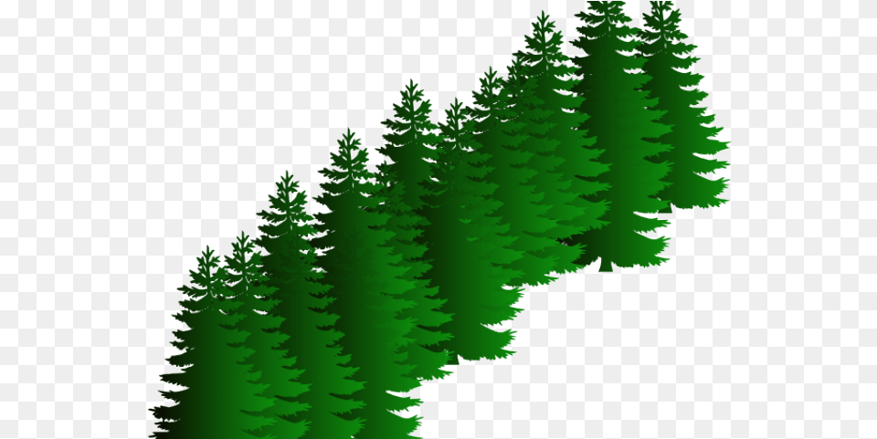 Download Fir Clipart Evergreen Tree Free Vector Tree Silhouette, Green, Pine, Plant, Conifer Png Image