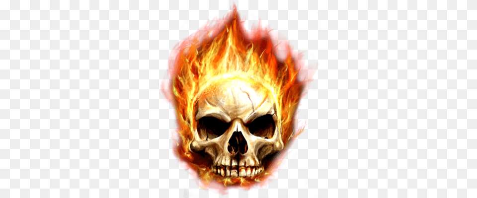 Download Fire File Hq Image Freepngimg Fire Skull, Bonfire, Flame Free Transparent Png