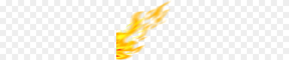 Fire Flames Photo Images And Clipart Freepngimg, Flame, Light, Flower, Plant Free Png Download