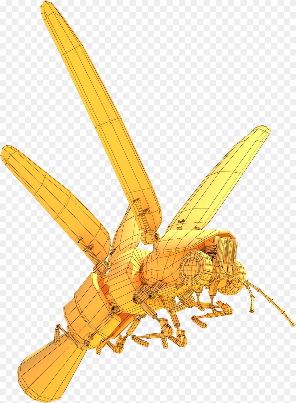 Download Firefly With No Dragonfly, Animal, Bee, Insect, Invertebrate Free Transparent Png