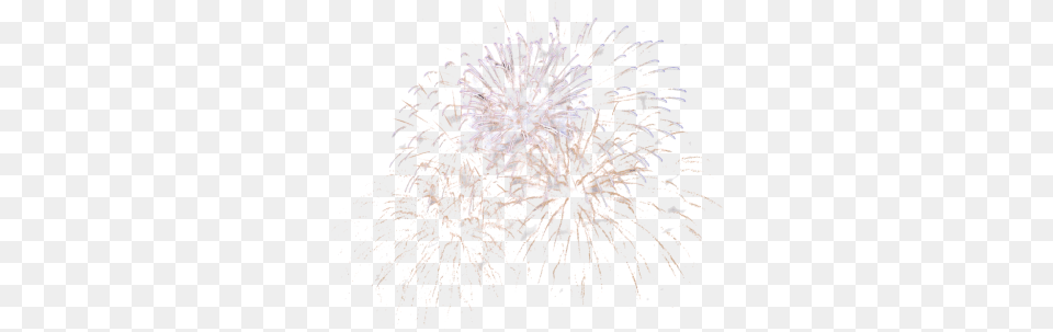 Download Fireworks, Person Png Image
