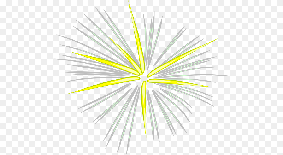 Download Fireworks Clipart Image With No Background Fireworks Clipart, Plant Free Transparent Png