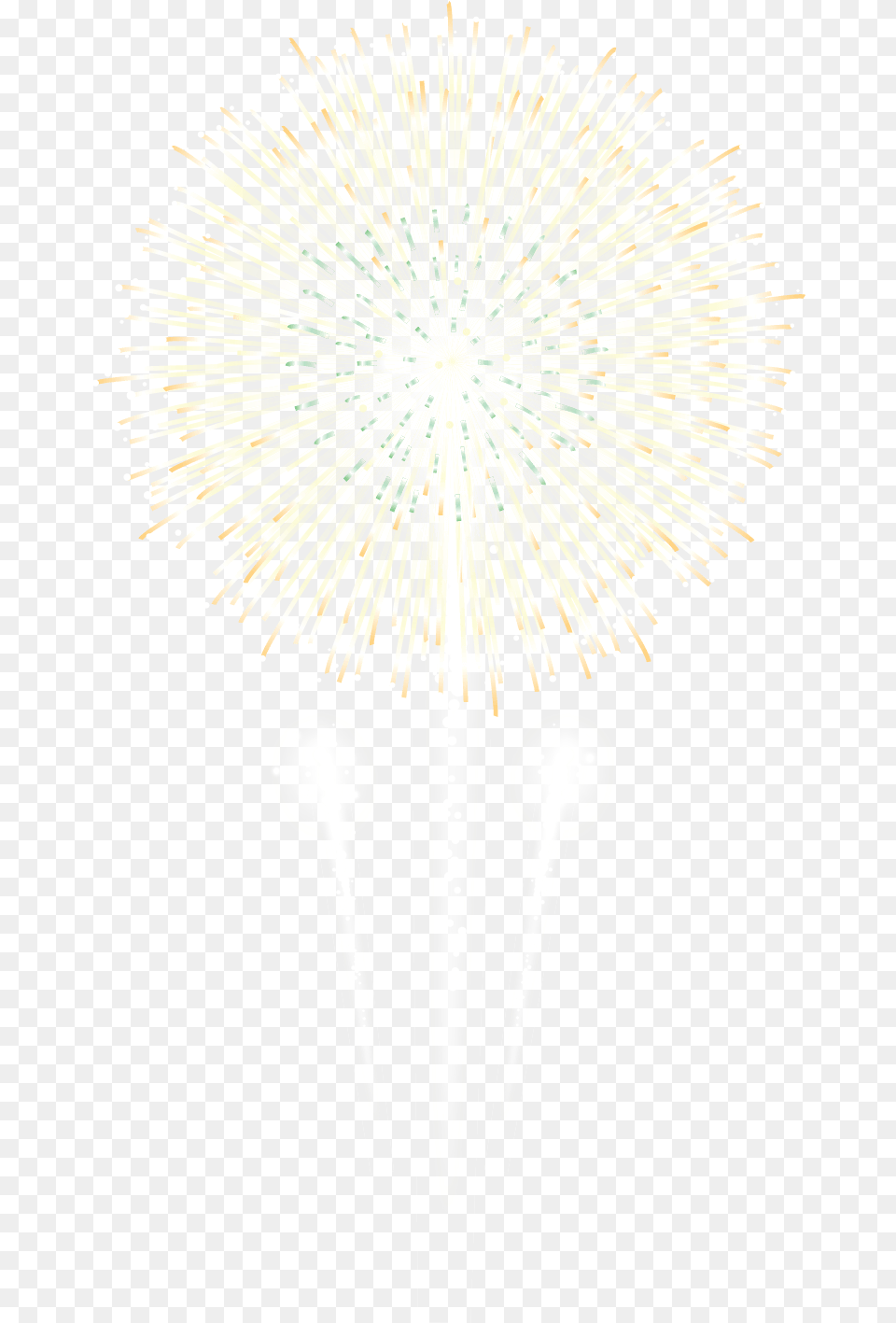 Download Fireworks With No Fireworks, Flower, Plant, Cutlery, Spoon Free Png