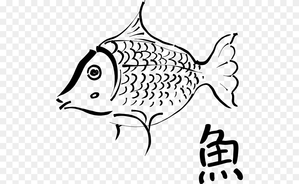 Download Fish Outline Clipart, Stencil, Animal, Sea Life, Shark Free Png