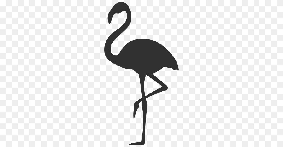 Flamingo Icon, Animal, Bird, Person, Waterfowl Free Png Download