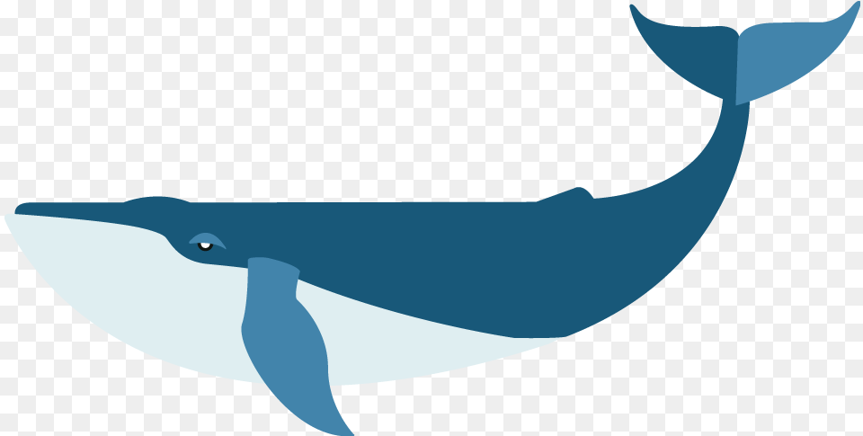 Flat Blue Whale Image With Cetaceans, Animal, Mammal, Sea Life, Fish Free Png Download