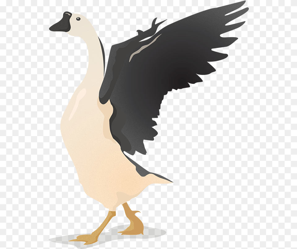 Download Flat Vector Birds Geese Illustration, Animal, Bird, Goose, Waterfowl Free Transparent Png