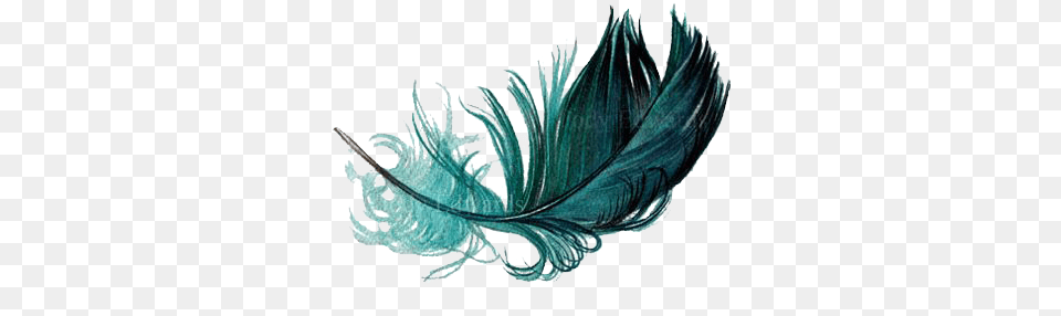 Download Floating Bird Watercolor The Painting Feather Watercolour Feather, Leaf, Plant, Ice, Accessories Free Png