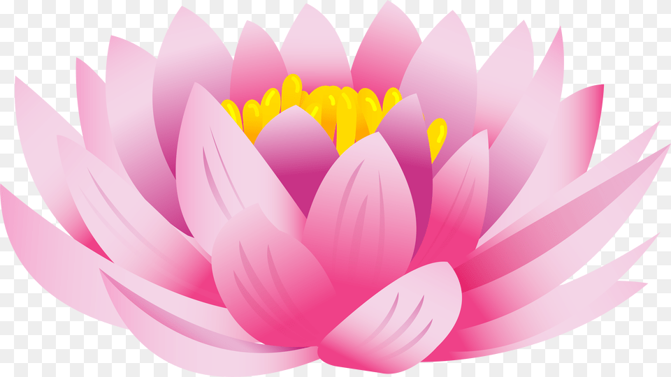 Download Flower Background Toppng Lotus Flower, Dahlia, Petal, Plant, Lily Png Image