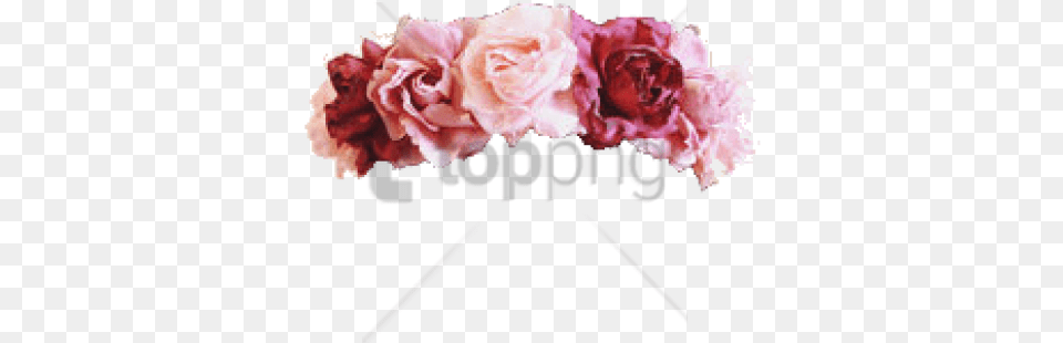 Flower Crown Transparent Overlay Image Background Roses, Carnation, Plant, Flower Arrangement, Flower Bouquet Free Png Download