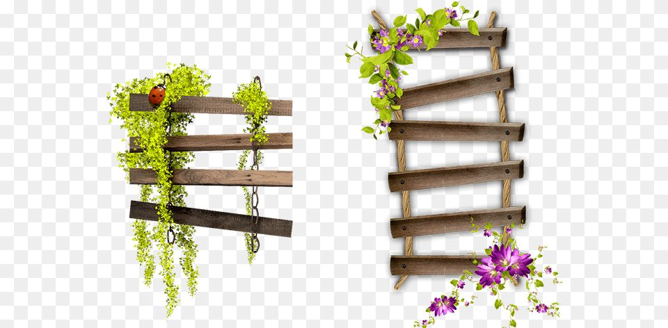 Flower Garden Hour Spooky Frame Bench Ladder Hq Ladder, Plant, Flower Arrangement, Wood, Outdoors Free Png Download