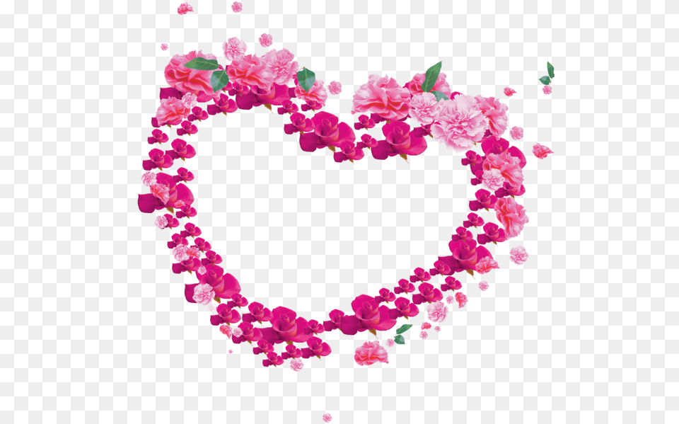 Download Flower Heart Frame And For Pink Flower Heart, Petal, Plant, Carnation Png Image