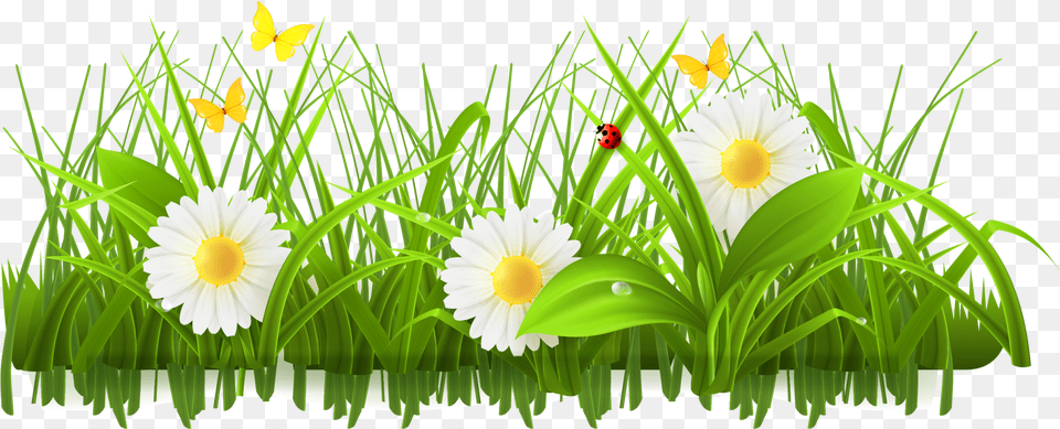 Download Flower Meadow Clipart Green Flowers Clip Art Ladybug In Grass Cartoon, Plant, Daisy, Outdoors, Invertebrate Png Image