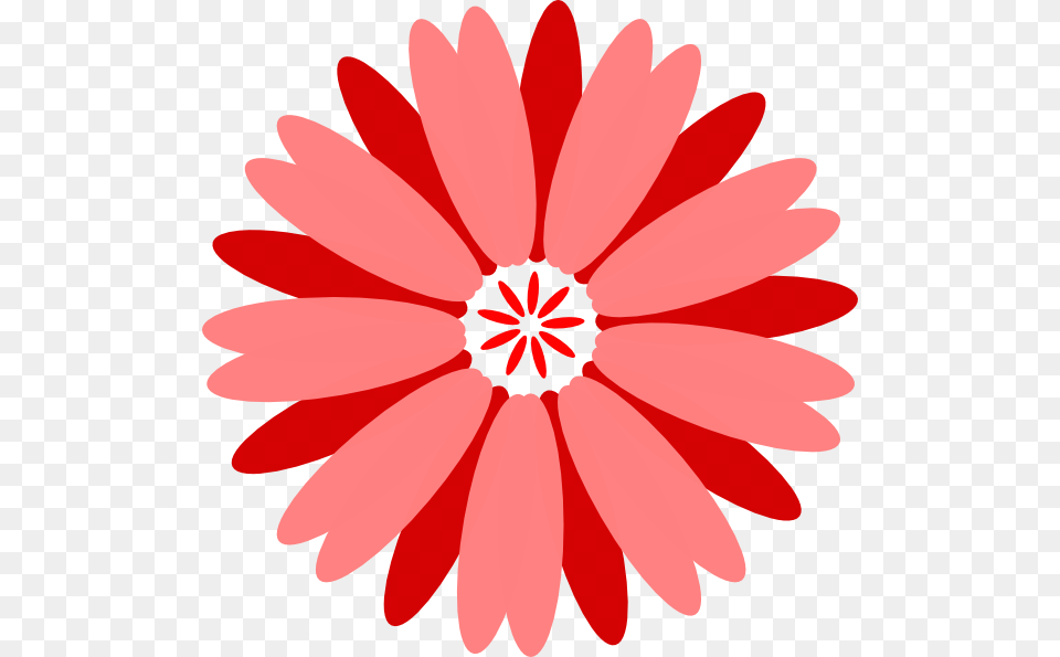 Download Flower Of Seven Color Vector Today Description, Dahlia, Daisy, Plant, Petal Png Image