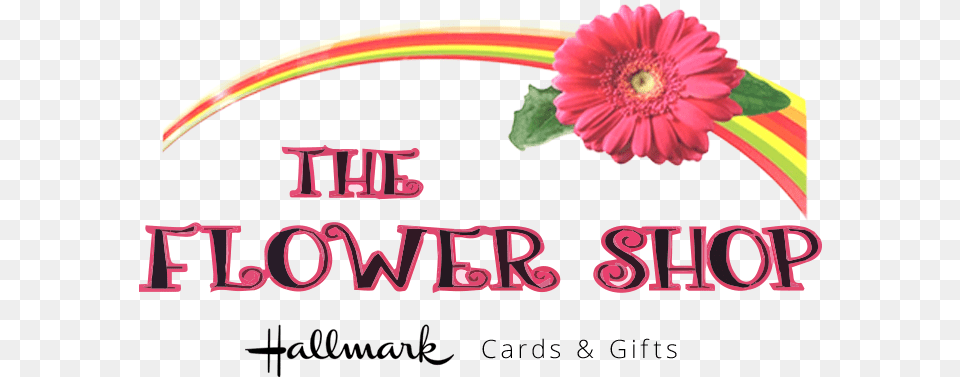 Download Flower Shop Logo Hallmark Cards, Dahlia, Daisy, Petal, Plant Png Image