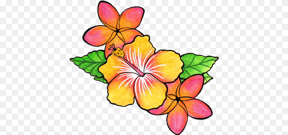 Flower Tattoo Clipart Orange Hibiscus Flower Tattoos, Plant Free Png Download