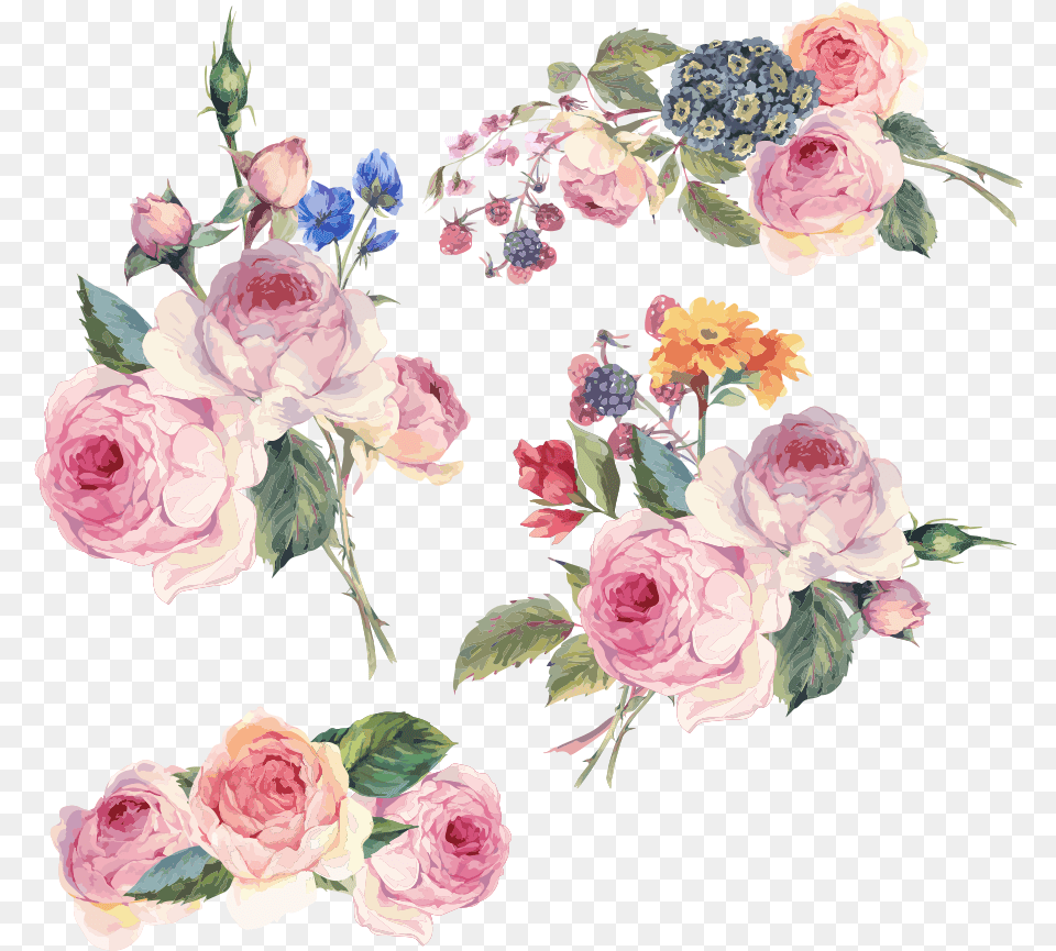 Download Flower Vector Design Floral Flowers Hand Painted Flower Vector Free Download, Art, Floral Design, Graphics, Pattern Png