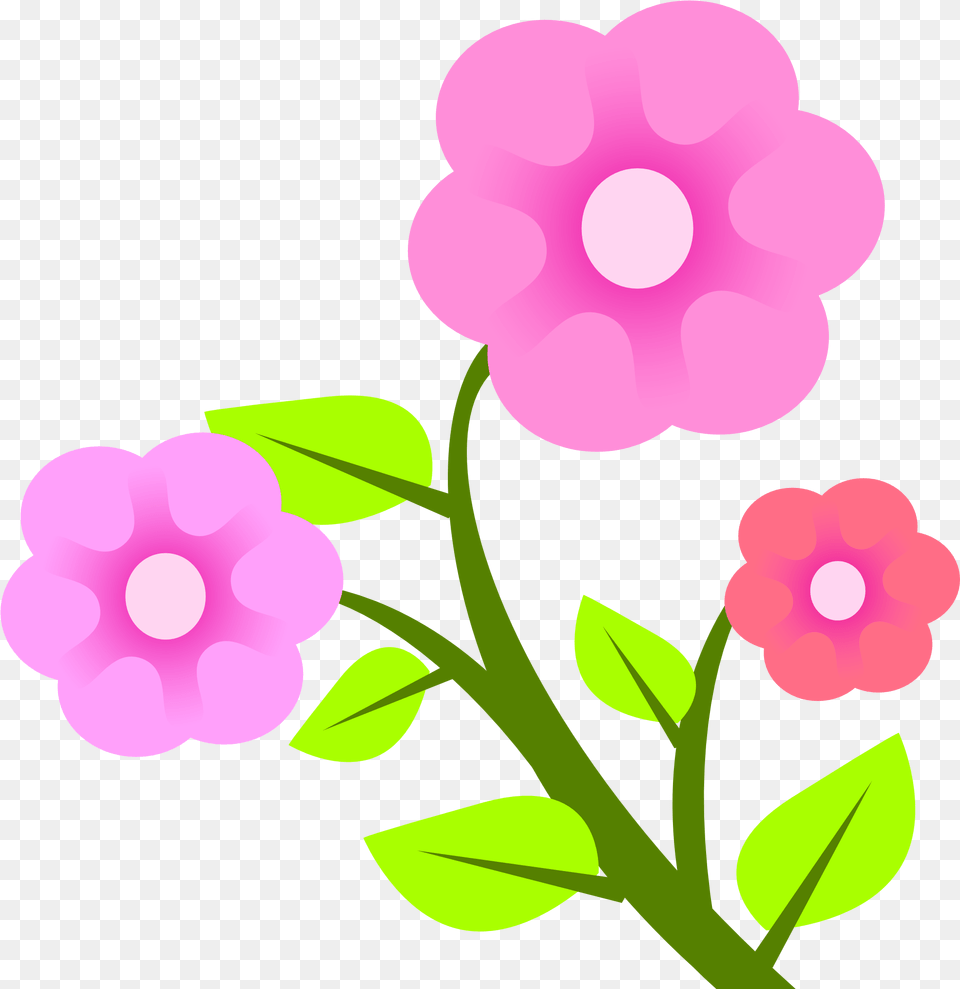 Download Flower Vector For Free Pink Vector Flower, Anemone, Geranium, Petal, Plant Png