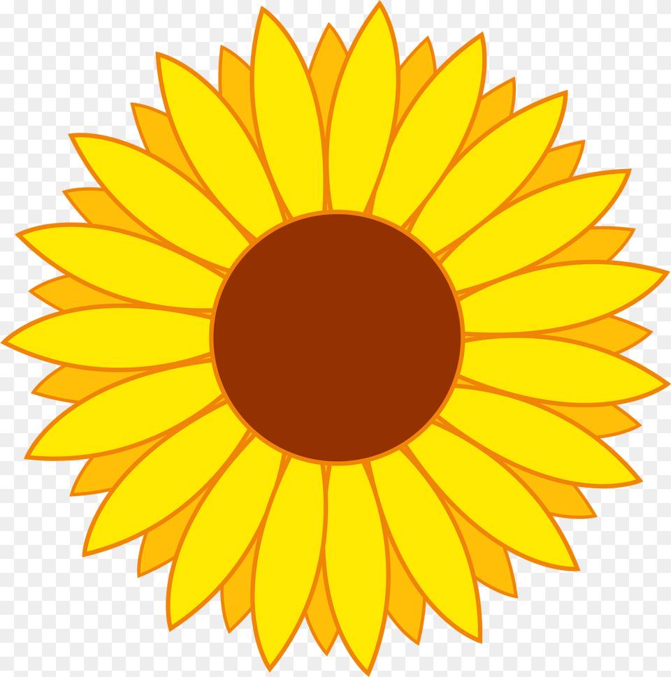 Download Flower Vector For Sunflower Clipart, Daisy, Plant Free Transparent Png