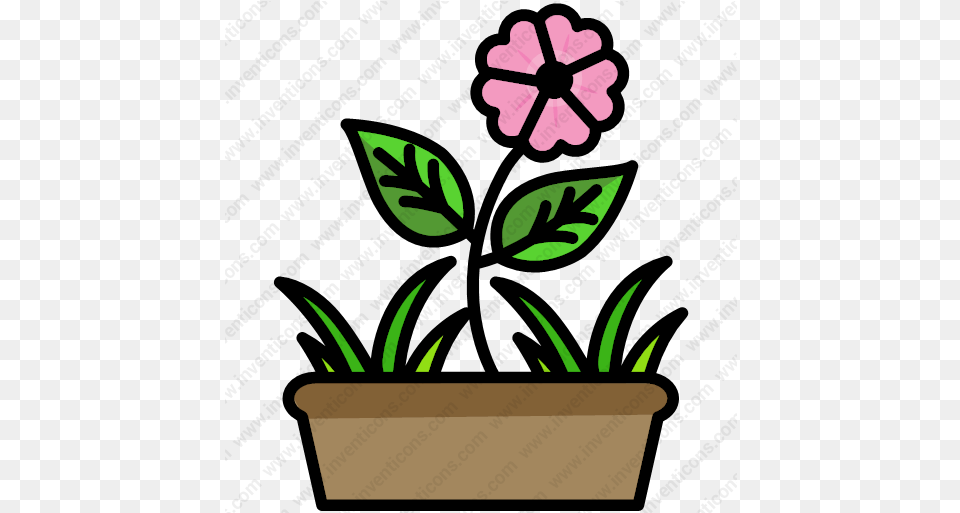 Download Flower Vector Icon Nature, Geranium, Leaf, Plant, Potted Plant Png