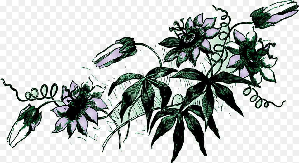 Flower Vine Image With No Background Gambar Bunga Yang Merambat, Art, Graphics, Green, Plant Free Png Download
