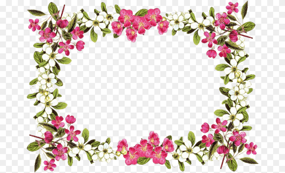 Download Flowers Borders Clipart Hq Flower Frame With Transparent Background, Plant, Flower Arrangement, Accessories, Floral Design Png