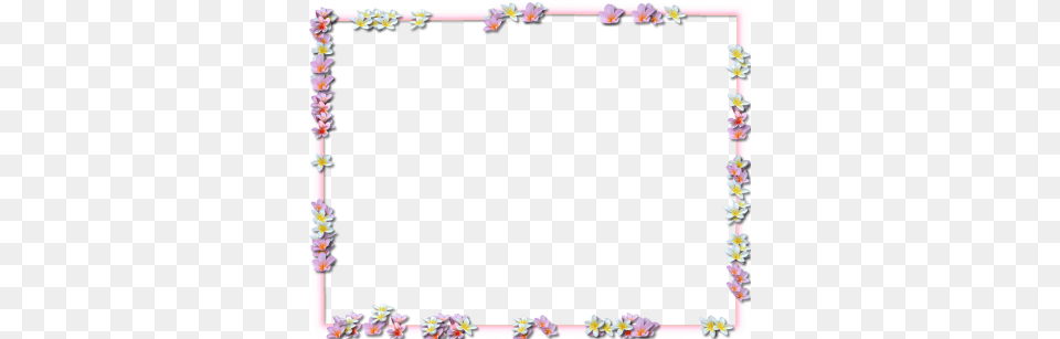 Download Flowers Borders Free Transparent And Clipart, Flower, Flower Arrangement, Petal, Plant Png Image