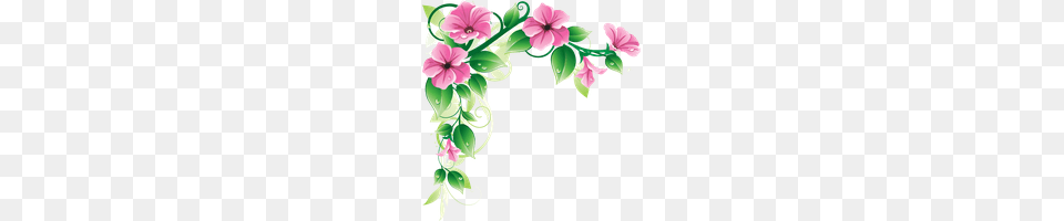 Download Flowers Borders Photo Images And Clipart, Art, Floral Design, Graphics, Pattern Png Image