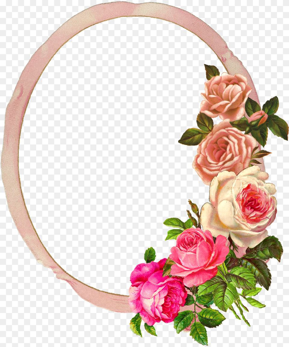 Download Flowers Frame Roses Flower Frames, Flower Arrangement, Plant, Rose, Accessories Free Png