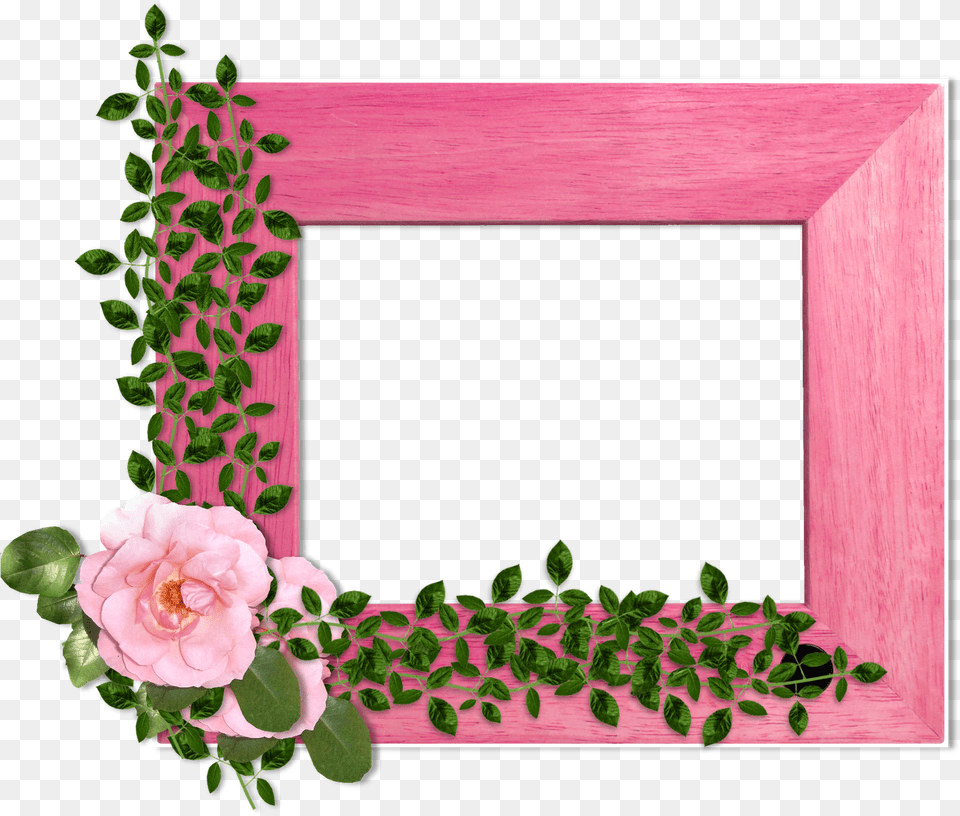 Download Flowers Garden Roses Image Portaretratos De Flores, Flower, Plant, Rose, Photo Frame Free Transparent Png