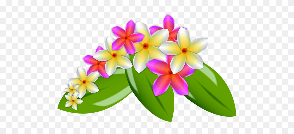 Download Flowers U0026 Treesnature Hawaiian Flower Vector Hawaiian Flower Vector, Accessories, Flower Arrangement, Plant, Ornament Png Image