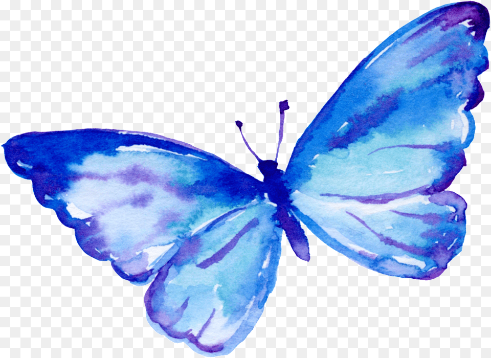 Download Flying Butterfly Cartoon Flying Blue Butterflies Animated, Animal, Insect, Invertebrate Png Image