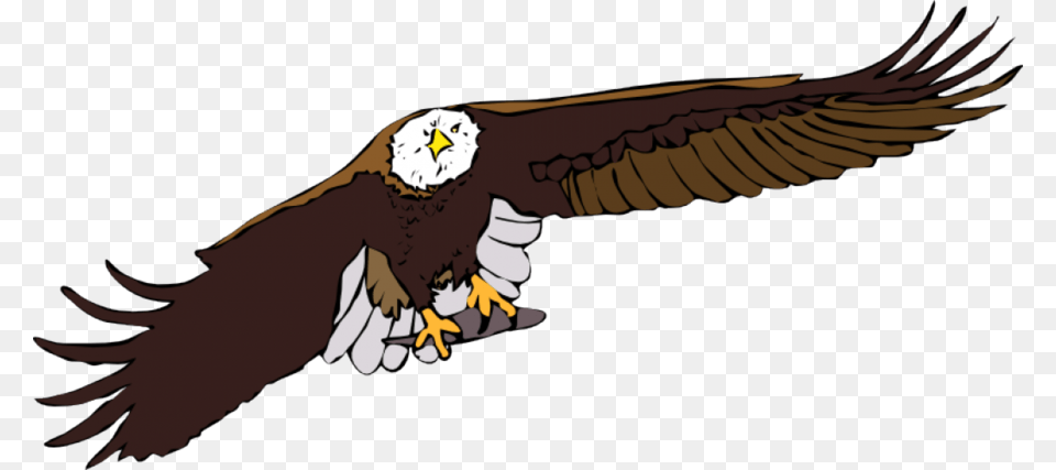 Flying Eagle Clipart Bald Eagle White Tailed Eagle Clip, Animal, Bird, Bald Eagle Free Png Download
