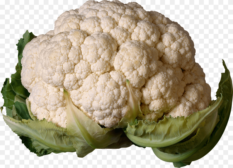 For Cabbage In High Resolution Cauliflower, Food, Plant, Produce, Vegetable Free Png Download
