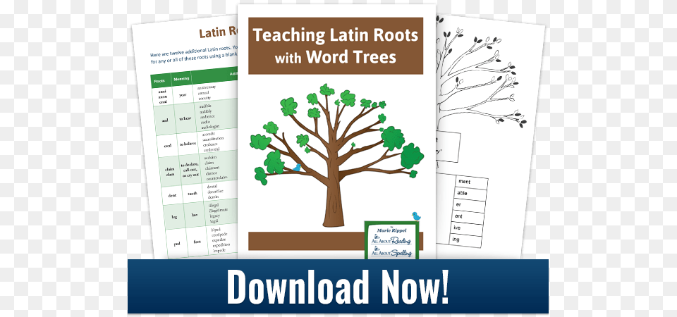 Download For Teaching Latin Roots With Word Trees Printable Alphabet Bracelets, Page, Plant, Text, Tree Png