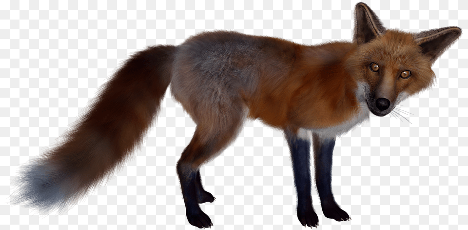 Download Fox Images Backgrounds Figura De Un Zorro, Animal, Canine, Dog, Mammal Free Transparent Png