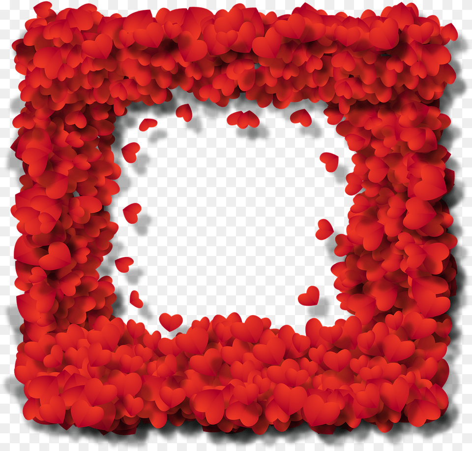 Download Frame Heart Wallpaper Background Love Background Heart Hd, Plant, Petal, Geranium, Flower Free Png