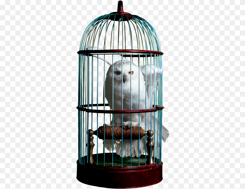 Download Free Birdcage Dlpngcom Harry Potter Hedwig In Cage, Crib, Furniture, Infant Bed, Animal Png Image
