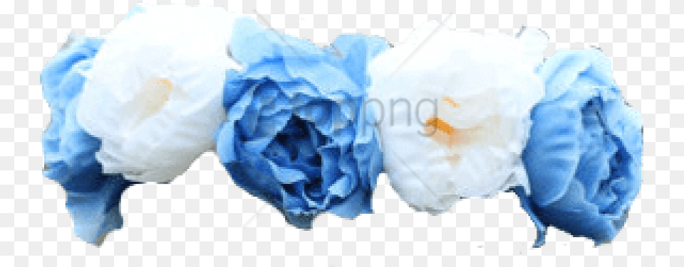 Download Free Blue Flower Crown Transparent Blue Flowers Crown, Ice, Outdoors, Nature, Paper Png