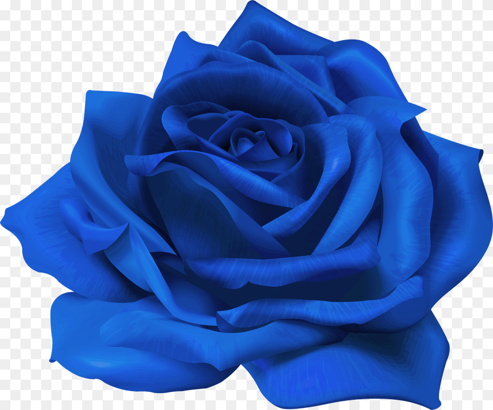 Download Blue Flower Rose Transparent Purple Flower, Ct Scan, Outdoors, Nature, Sea Life Free Png