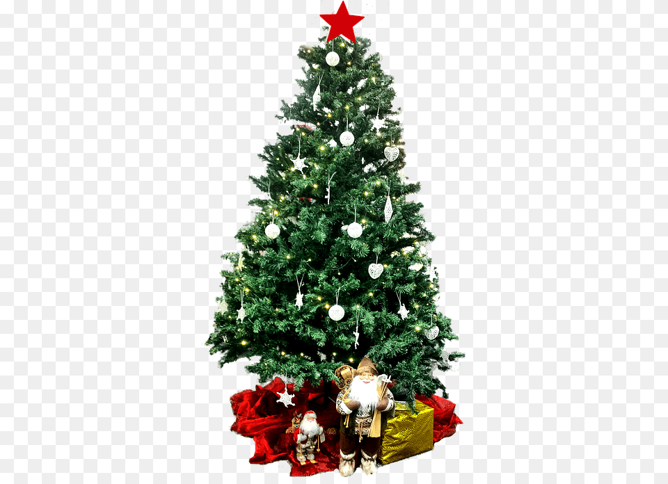 Download Christmas Backgroundtreetransparent Christmas Day, Plant, Tree, Baby, Person Free Transparent Png