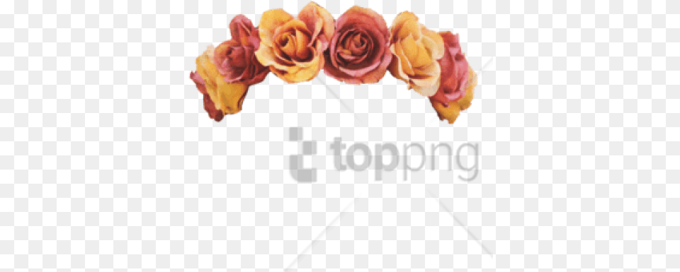 Download Free Clip Are Flower Crown Orange Flower Crown, Flower Arrangement, Flower Bouquet, Plant, Rose Png