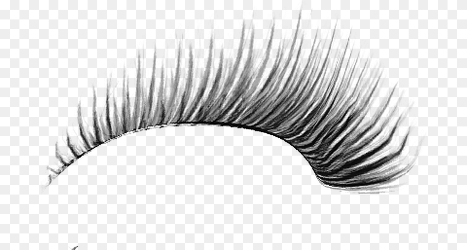 Download Eyelash Download Image With Eyelashes, Gray Free Transparent Png