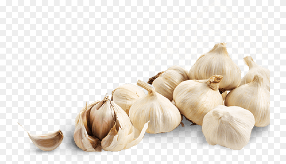 Download Garlic Image Background High Resolution Garlic, Food, Produce, Plant, Vegetable Free Transparent Png